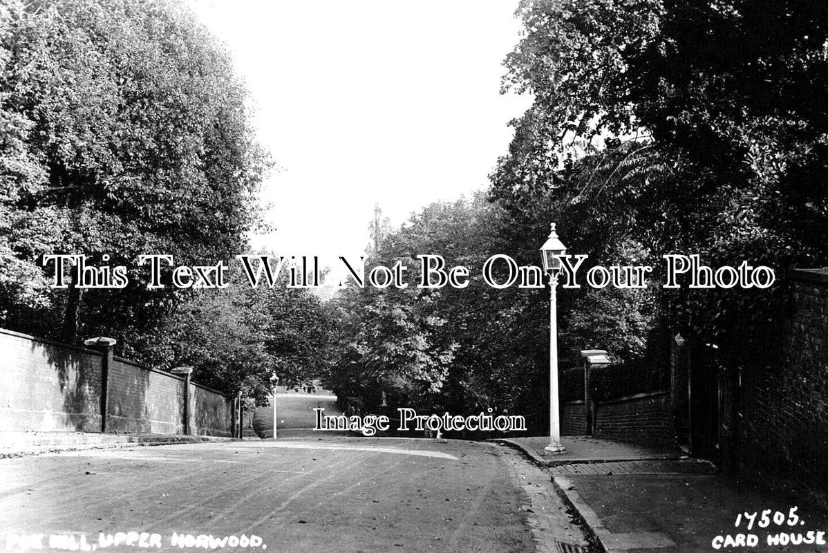 LO 3975 - Fox Hill, Upper Norwood, London