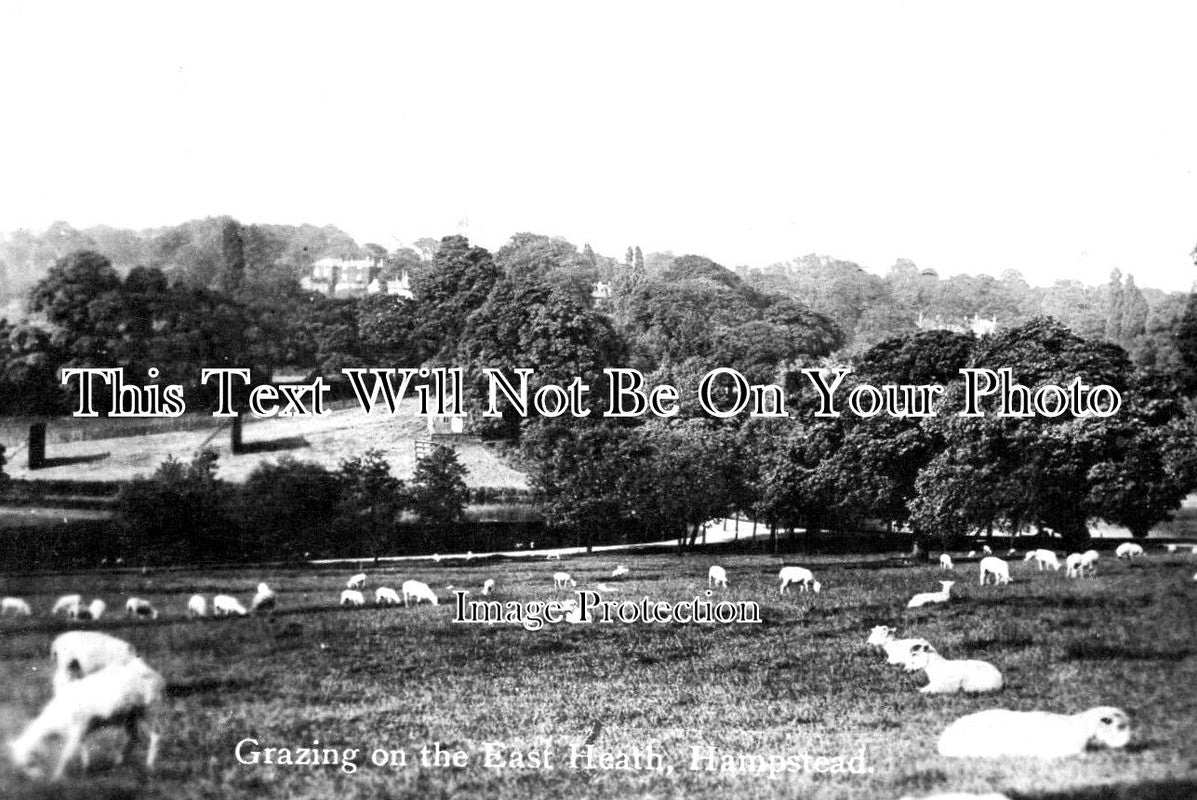 LO 4190 - East Heath, Hampstead, London c1923
