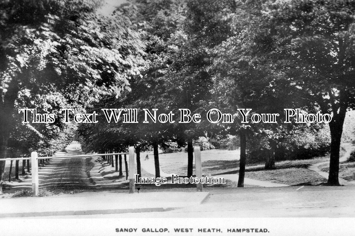 LO 4509 - Sandy Gallop, West Heath, Hampstead, London