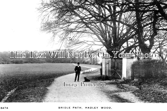 LO 4768 - Bridle Path, Hadley Wood, Barnet, Enfield, London