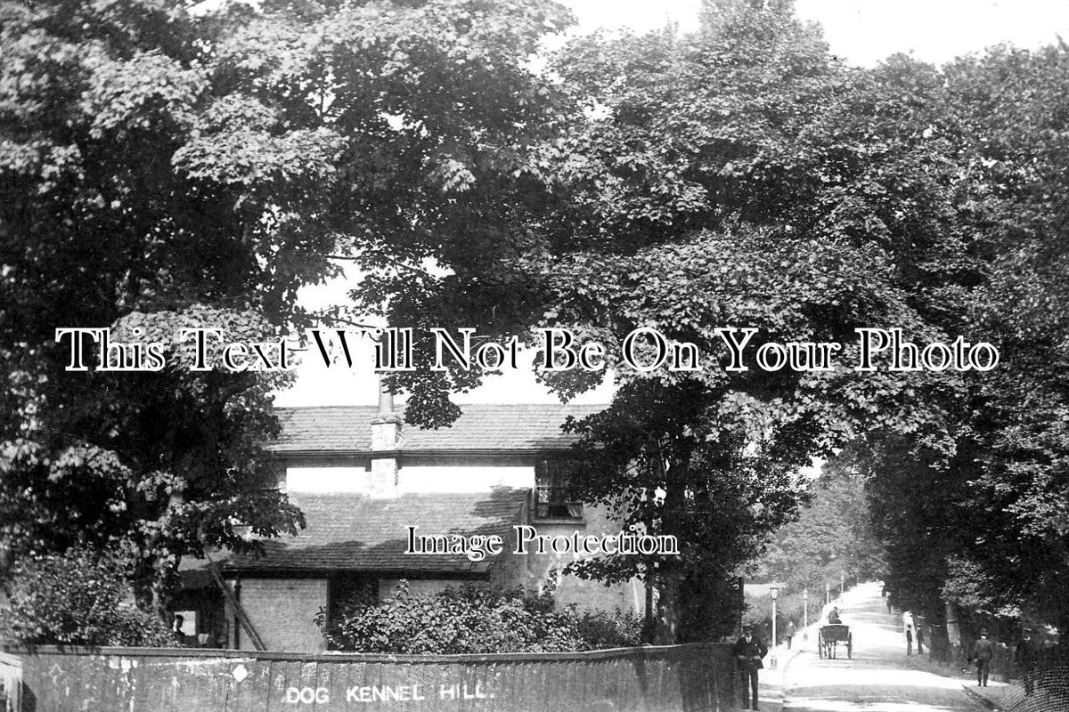 LO 4849 - Dog Kennel Hill, Dulwich, London c1910