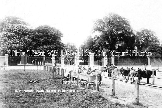 LO 5272 - Greenwich Park Gates, Blackheath, London c1905