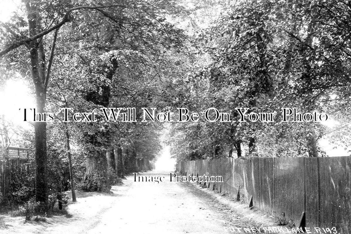 LO 5647 - Putney Park Lane, Wandsworth, London c1905