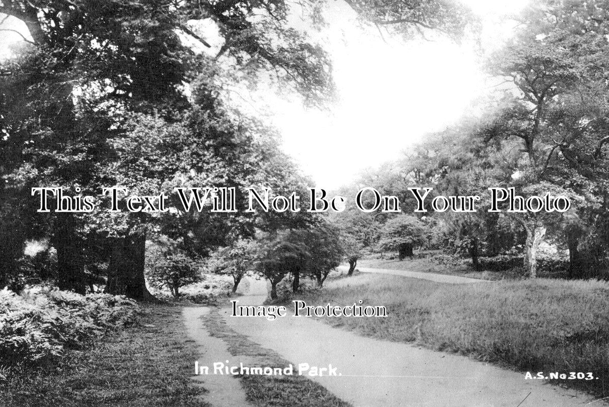 LO 5668 - Richmond Park, London c1912