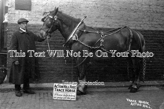 LO 5693 - Acton Hill Free Trace Horse, London c1914