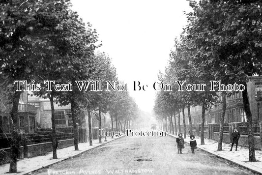 LO 5715 - Pretoria Avenue, Walthamstow, Waltham Forest, London c1908