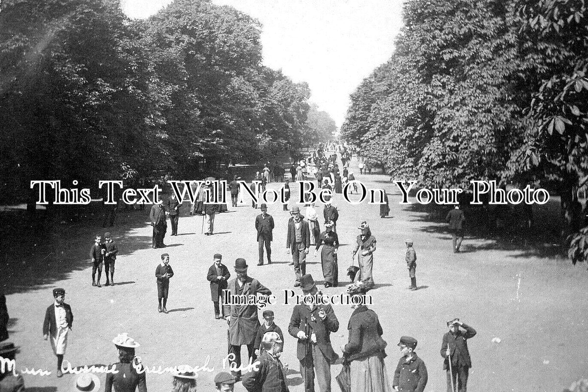 LO 5729 - Main Avenue, Greenwich Park, London