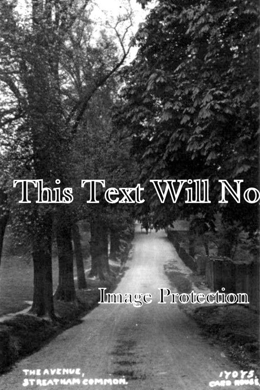 LO 5765 - The Avenue, Streatham Common, London c1920