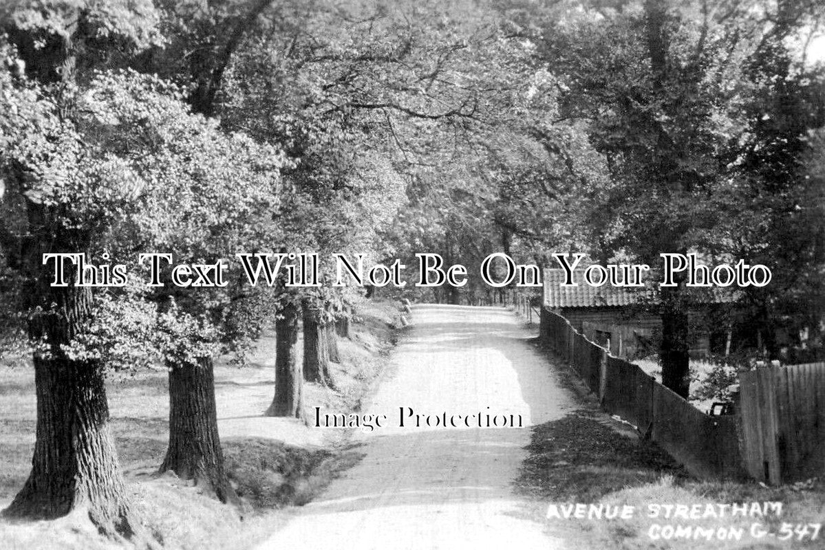 LO 5768 - The Avenue, Streatham Common, London c1908