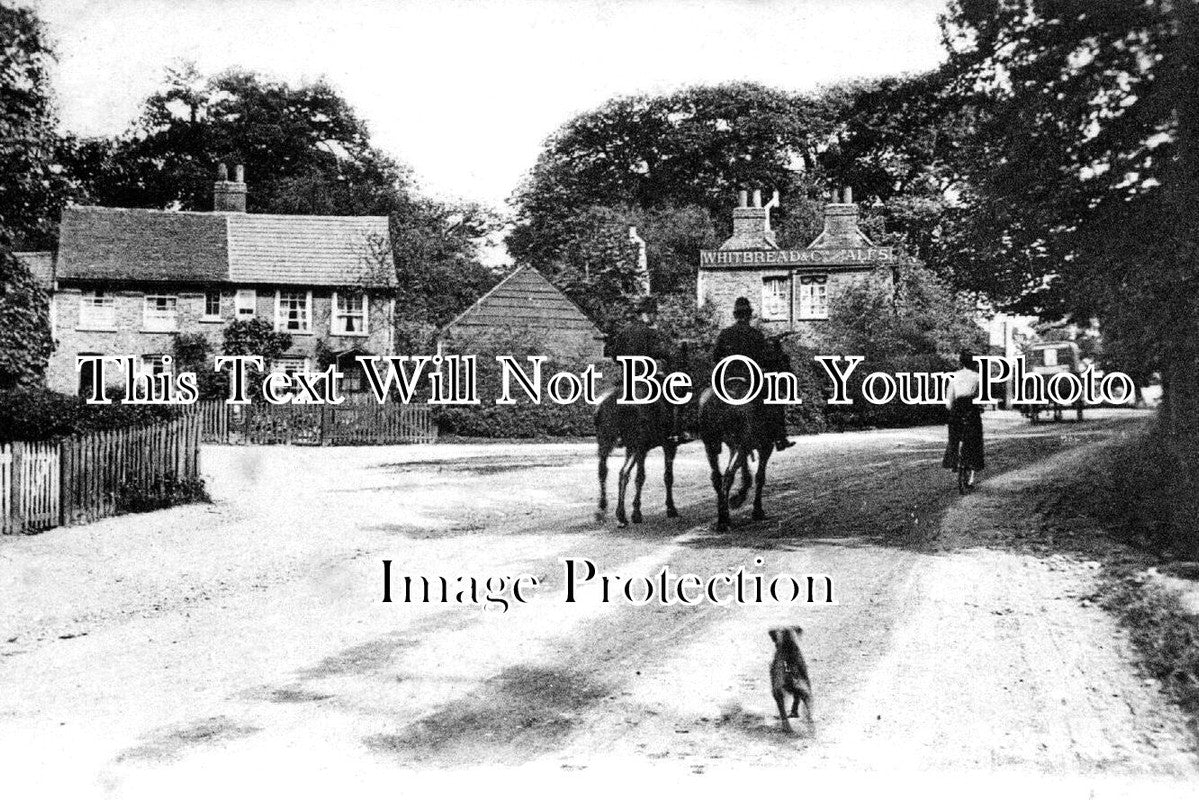 LO 6078 - Bourne Hill, Old Southgate, Winchmore Hill, London c1904