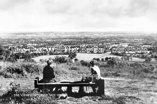 LO 6384 - The Viewpoint, One Tree Hill, London