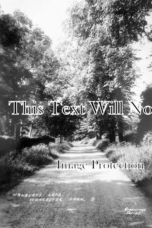 LO 6391 - Hanburys Lane, Worcester, London c1931
