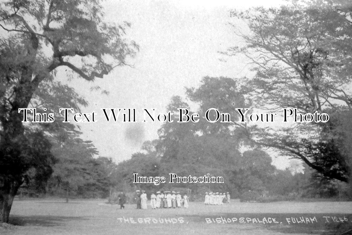 LO 682 - The Grounds Of The Bishops Palace, Fulham, London c1911