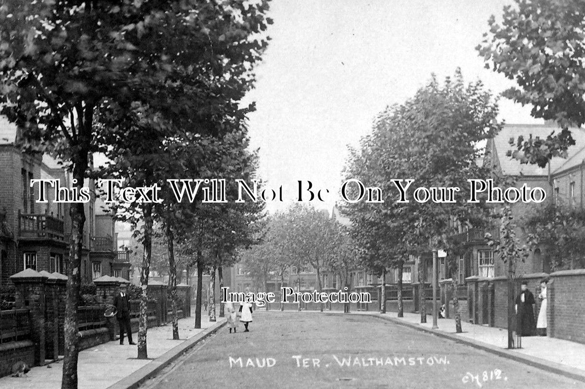 LO 736 - Maud Terrace, Walthamstow, London c1907