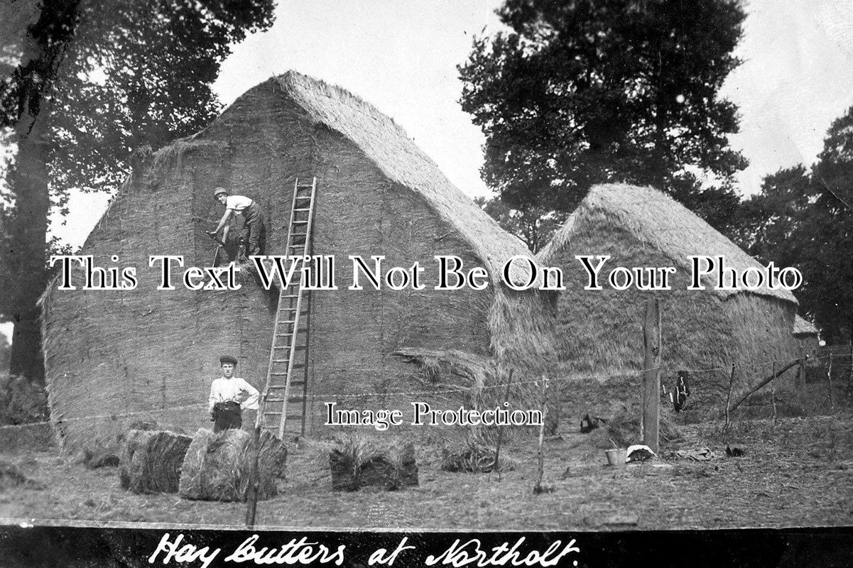 MI 571 - Hay Cutters At Northolt, Middlesex c1914