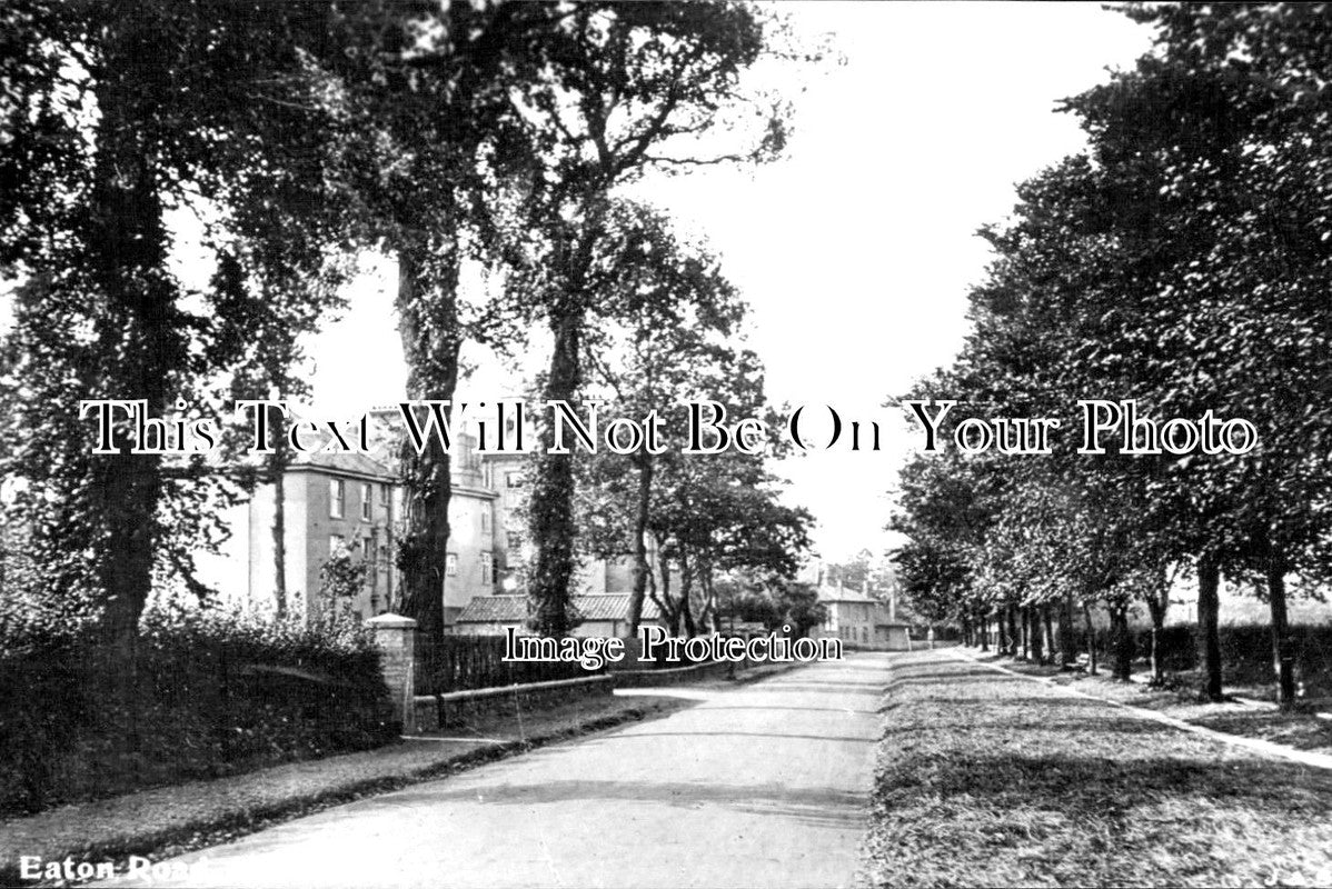NF 1173 - Eaton Road, Norwich, Norfolk