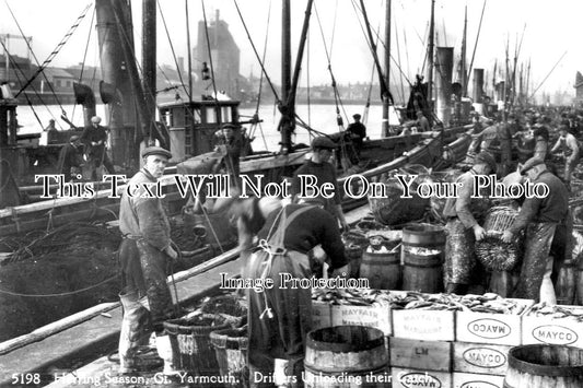 NF 1208 - Herring Drifters Unloading At Great Yarmouth, Norfolk