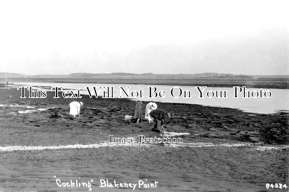 NF 1231 - Cockling On The Point, Blakeney, Norfolk