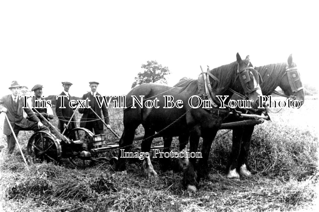 NF 1283 - Harvest With Horses, Bunwell, Norfolk c1920