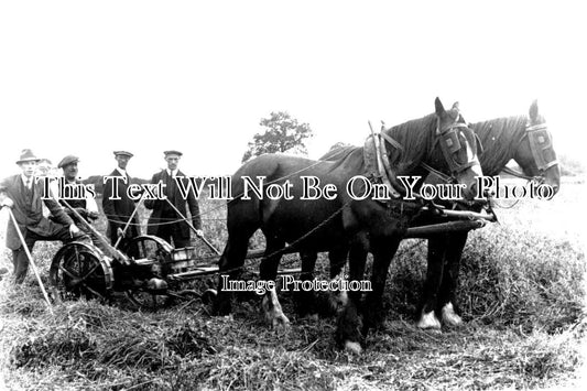 NF 1283 - Harvest With Horses, Bunwell, Norfolk c1920