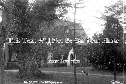 NF 1358 - Fir Grove, Wreningham, Norfolk c1906