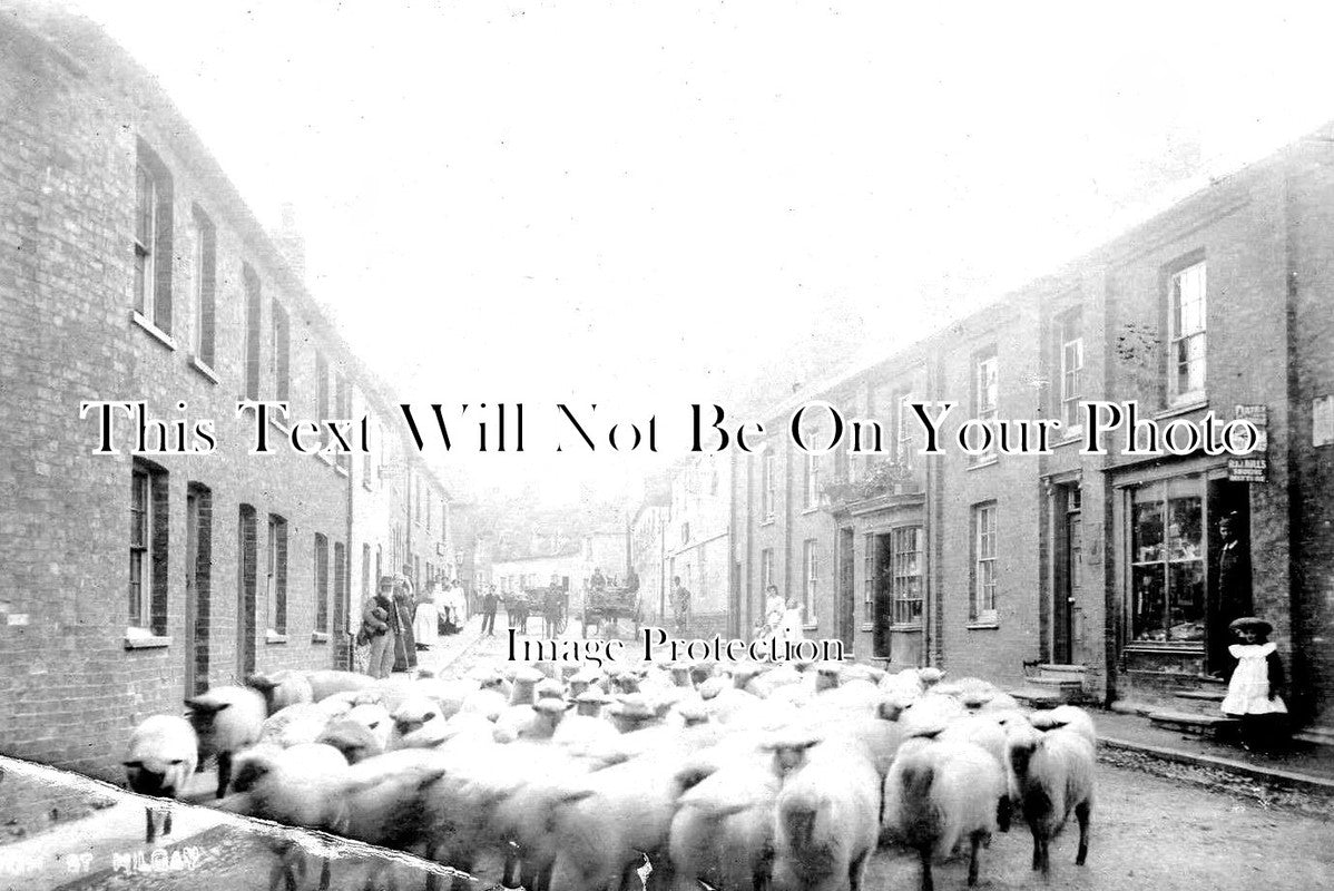 NF 1387 - High Street, Hilgay, Norfolk c1907