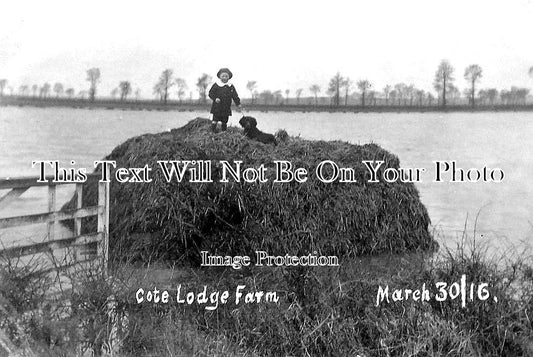 NF 1585 - Cote Lodge Farm Floods, Norfolk 1916