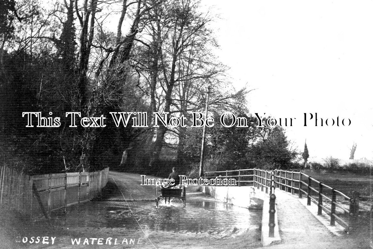 NF 1681 - Water Lane, Cossey, Costessey, Norfolk
