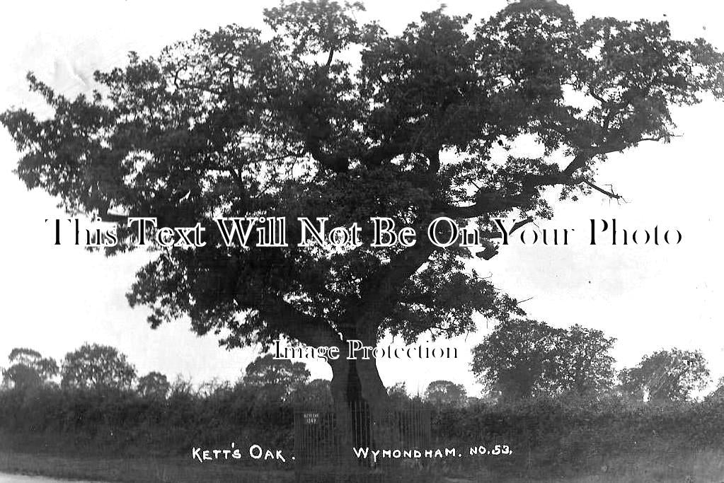 NF 1705 - Ketts Oak, Wymondham, Norfolk c1920