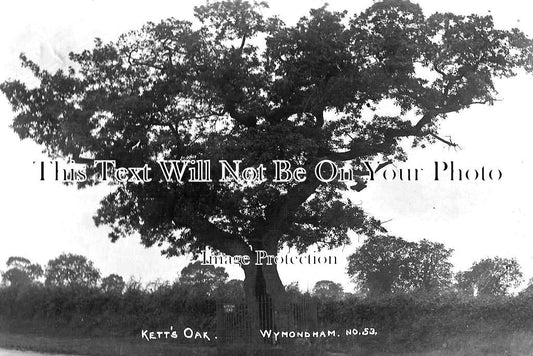NF 1705 - Ketts Oak, Wymondham, Norfolk c1920