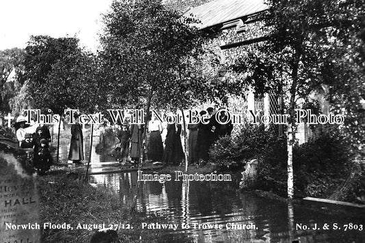 NF 1967 - Norwich Floods, Pathway To Trowse Church, Norfolk 1912