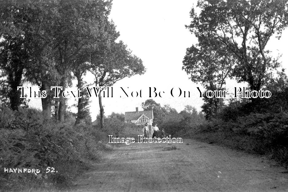 NF 1974 - Hainford Village, Norfolk c1911