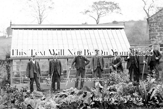 NF 2096 - Hob Hall Nursery, Norfolk