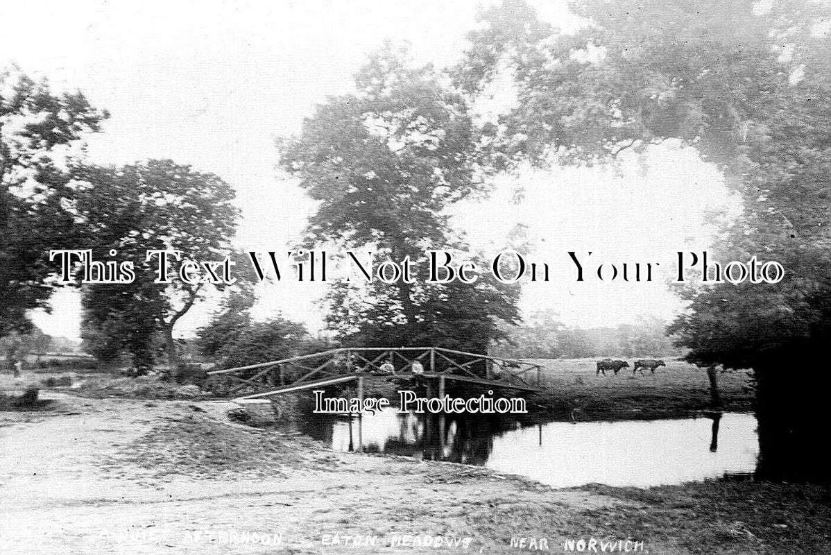NF 2167 - Eaton Meadows Near Norwich, Norfolk