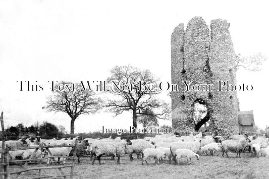 NF 2264 - Old Ruins, Thorpe Parva, Scole, Norfolk c1905