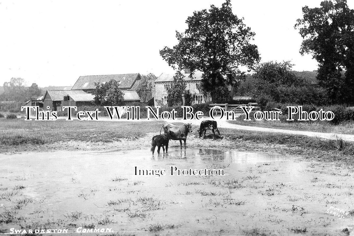 NF 2353 - Swardeston Common, Norfolk c1911
