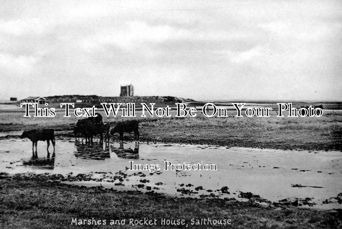 NF 237 - Marshes & Rocket House, Salthouse, Norfolk