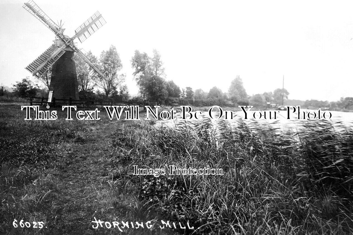 NF 2599 - Horning Mill, Windmill, Norfolk