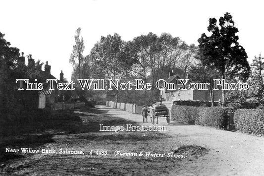 NF 2701 - Willows Bank, Salhouse, Norfolk c1912