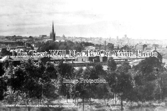NF 2723 - View From Mousehold Heath, Norwich, Norfolk c1928