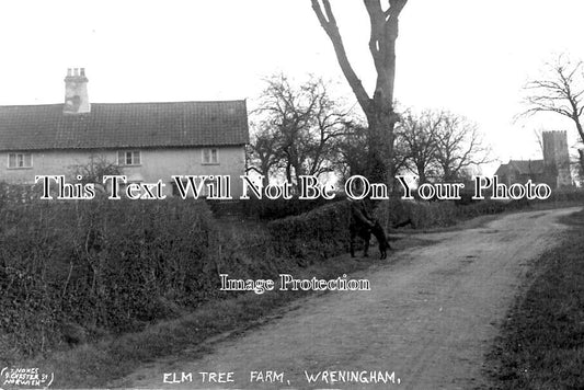 NF 2822 - Elm Tree Farm, Wreningham, Norfolk c1915