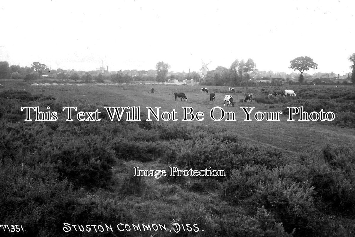 NF 2843 - Stuston Common, Diss, Norfolk