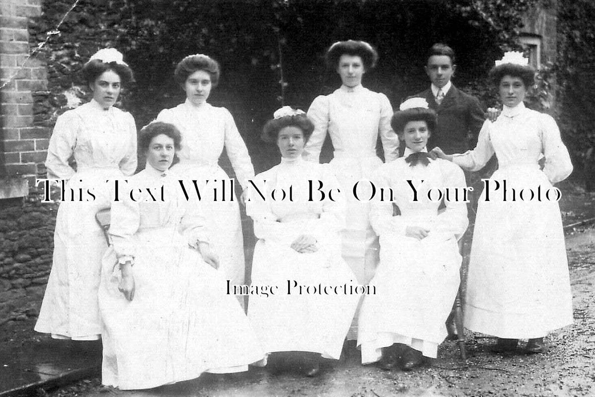 NF 2935 - Hillington Hall Staff, Kings Lynn, Norfolk c1912