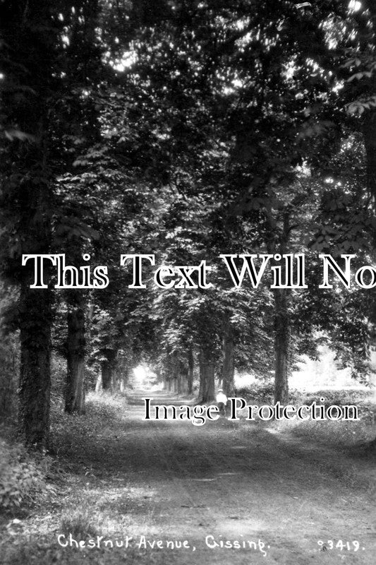 NF 3043 - Chestnut Avenue, Gissing, Norfolk c1927