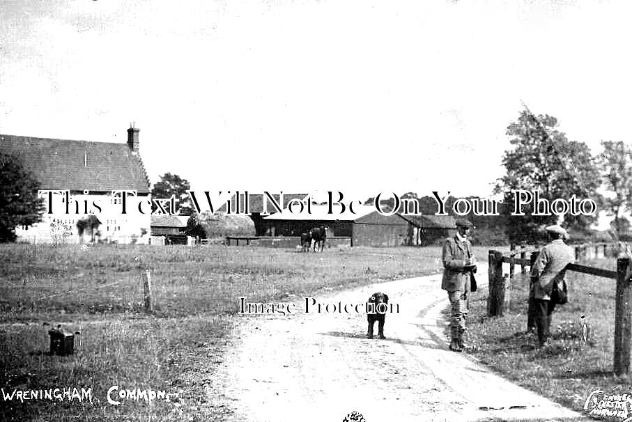 NF 3053 - Wreningham Common, Norfolk