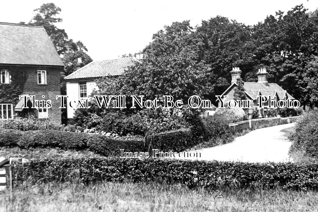 NF 3116 - Rectory Road, Hockering, Norfolk c1914
