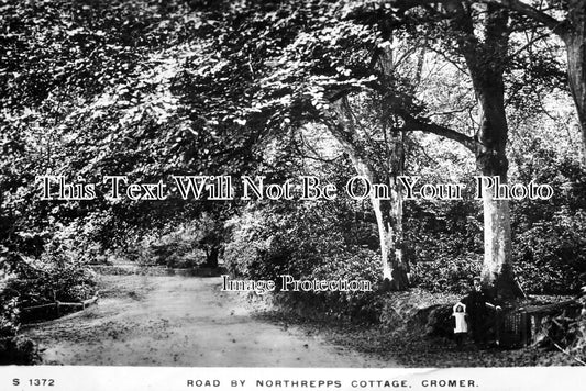 NF 3261 - Road By Northrepps Cottage, Cromer, Norfolk c1915