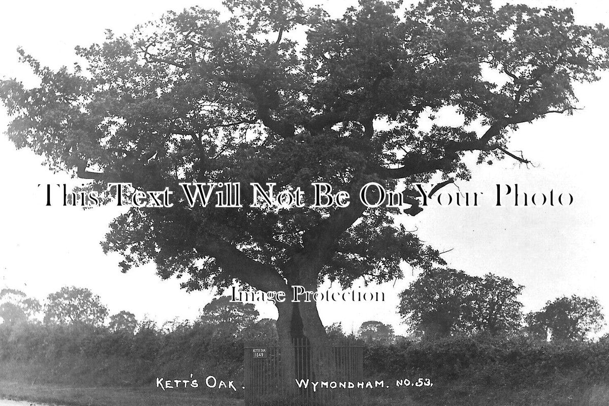 NF 3467 - Ketts Oak, Wymmondham, Norfolk