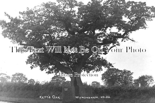 NF 3467 - Ketts Oak, Wymmondham, Norfolk