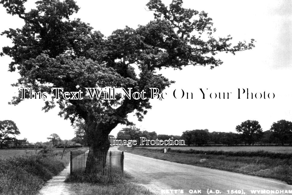 NF 3513 - Ketts Oak, Wymondham, Norfolk